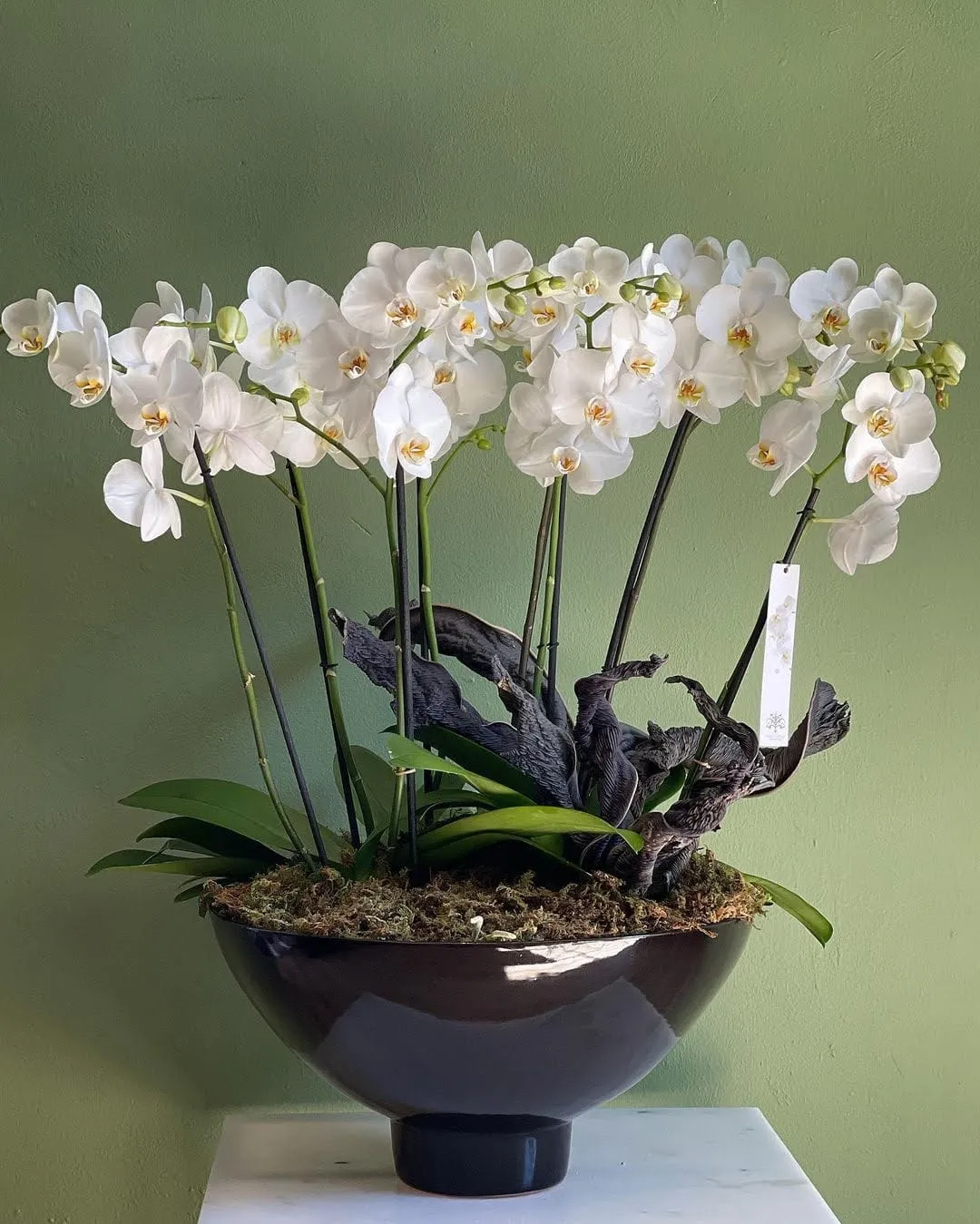 Arreglos florales para eventos en CDMX